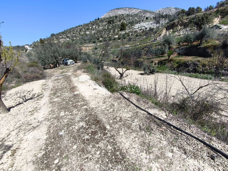 Herregård i Alcoleja, Alicante - bilde 4